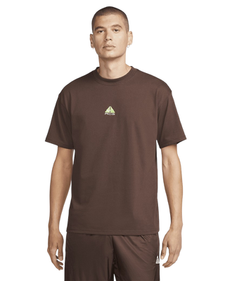 Nike ACG Lungs T-shirt Brown DQ1816-227
