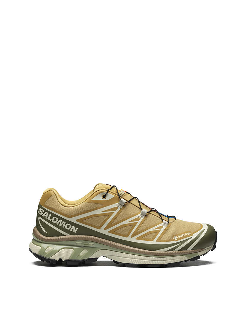 Кросівки Salomon XT-6 Gore-Tex Antelope/Icicle L47581000 - DUNE