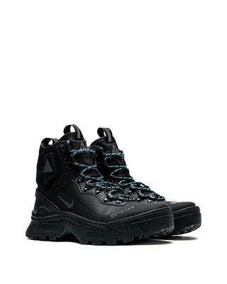 Nike ACG Zoom Gaiadome Gore-Tex Black DD2858