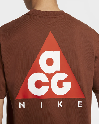 Nike ACG Logo Loose-Fit T-Shirt Brown HJ0799-245
