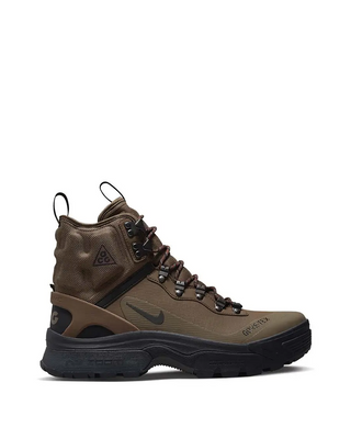 Nike ACG Zoom Gaiadome Gore-Tex Brown DD2858