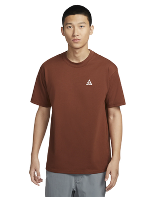 Nike ACG Logo Loose-Fit T-Shirt Brown HJ0799-245