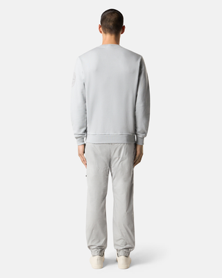 Stone Island 6100026 Cotton Fleece Compass Embroidery Sweatshirt Pearl Grey