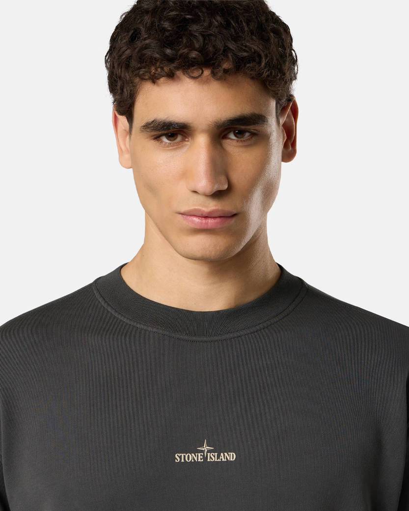 Stone Island 6100018 COTTON FLEECE Crewneck Sweatshirt 'Industrial Four' Print Lead Grey