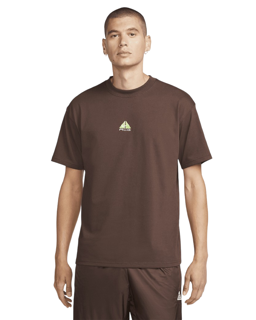 Nike ACG Lungs T-shirt Brown DQ1816-227