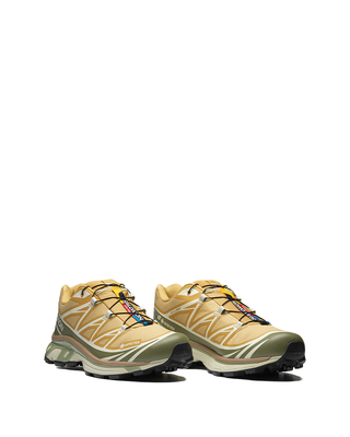 Salomon XT-6 Gore-Tex Antelope/Icicle L47581000