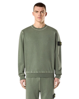 Musk Green